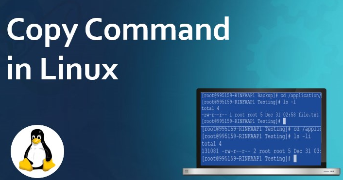 linux復(fù)制文件cp命令怎么使用？.png