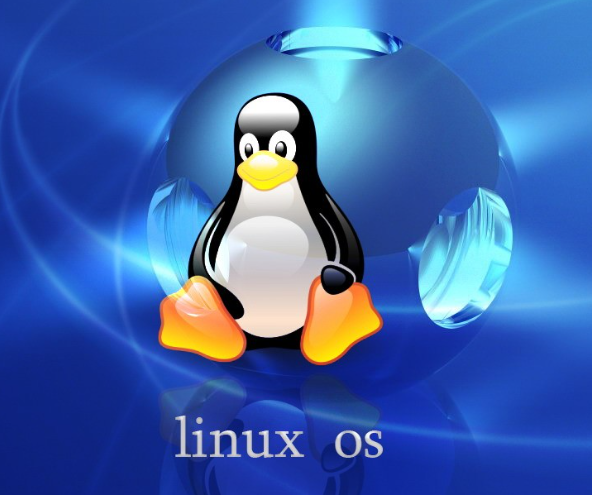 linux系統(tǒng)一般用來干嘛？.png