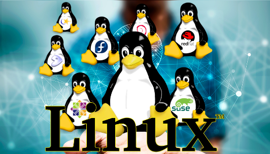 linux分區(qū)滿了怎么辦？.png